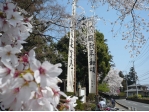 ライトアップ,照明